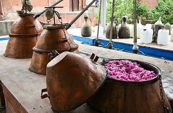 تصویر 2 از قیمت خرید گلاب کرمان + فروش ویژه